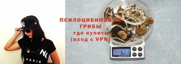 a pvp Арсеньев