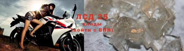 ГАЛЛЮЦИНОГЕННЫЕ ГРИБЫ Баксан